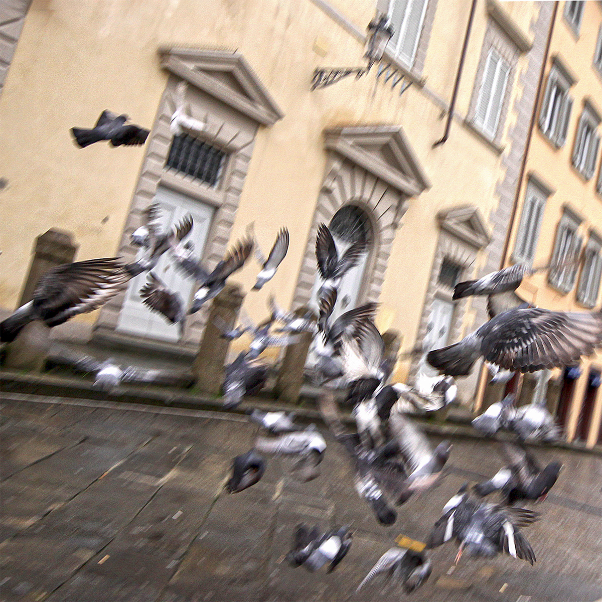 STRA-LC-CI DI PRATO 19